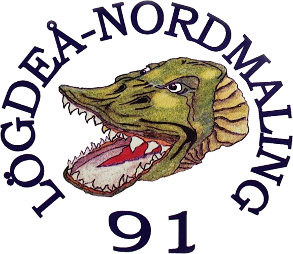 LN 91 Logo