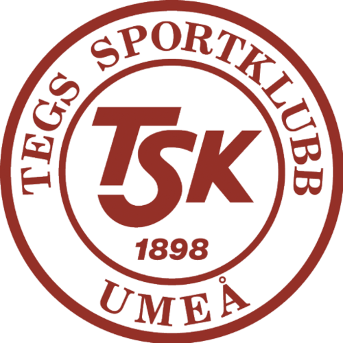 Tegs SK Hockey Logo